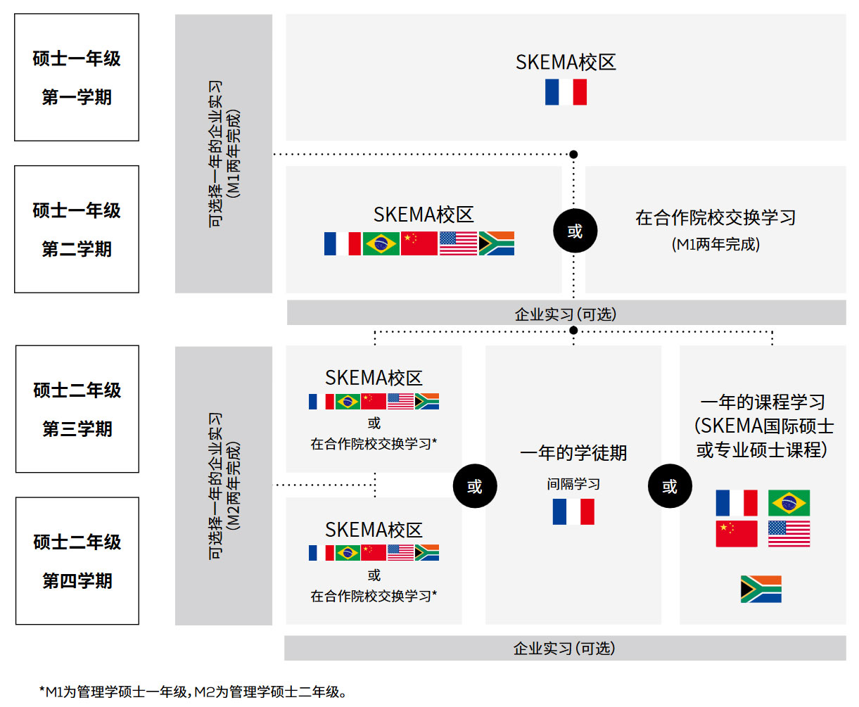 SKEMA管理學碩士項目架構